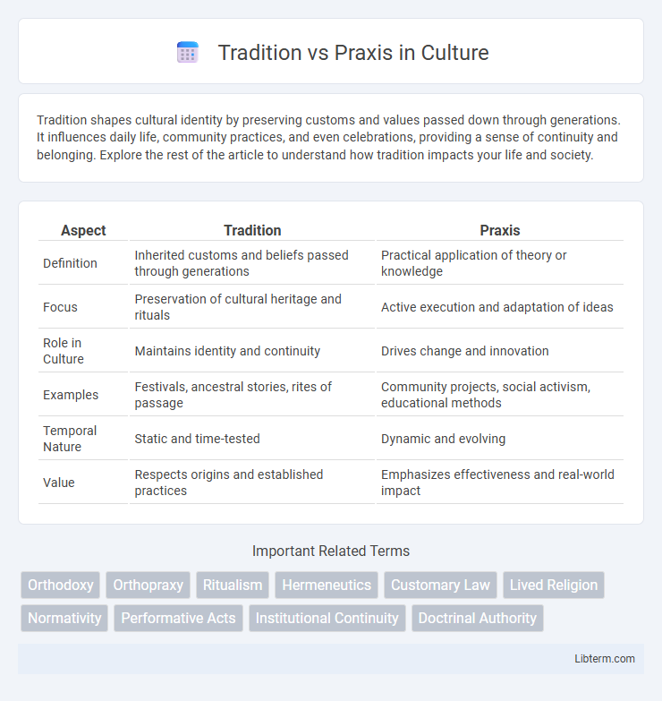 Praxis vs Tradition in Culture - What is The Difference?