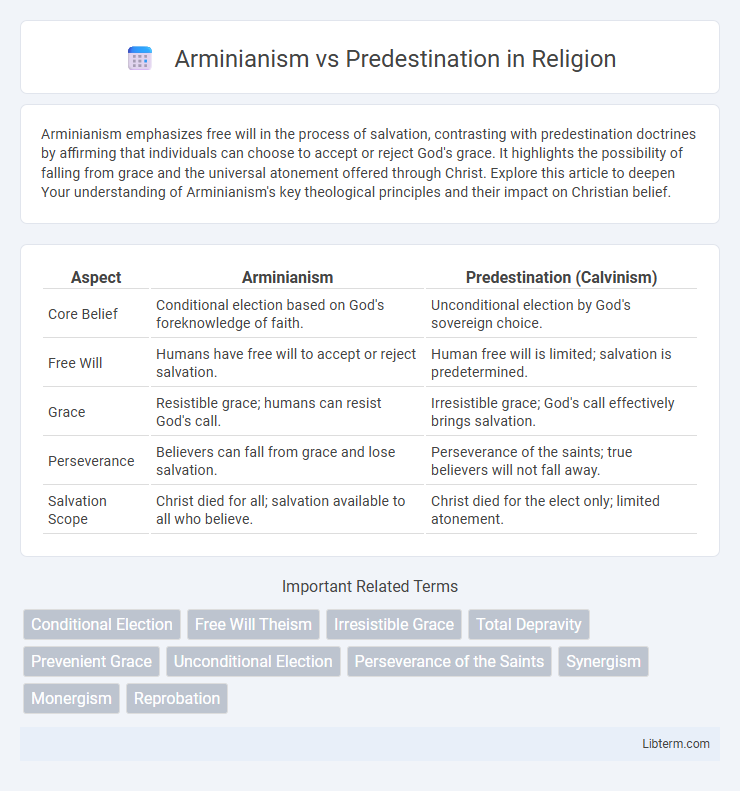 Predestination vs Arminianism in Religion - What is The Difference?