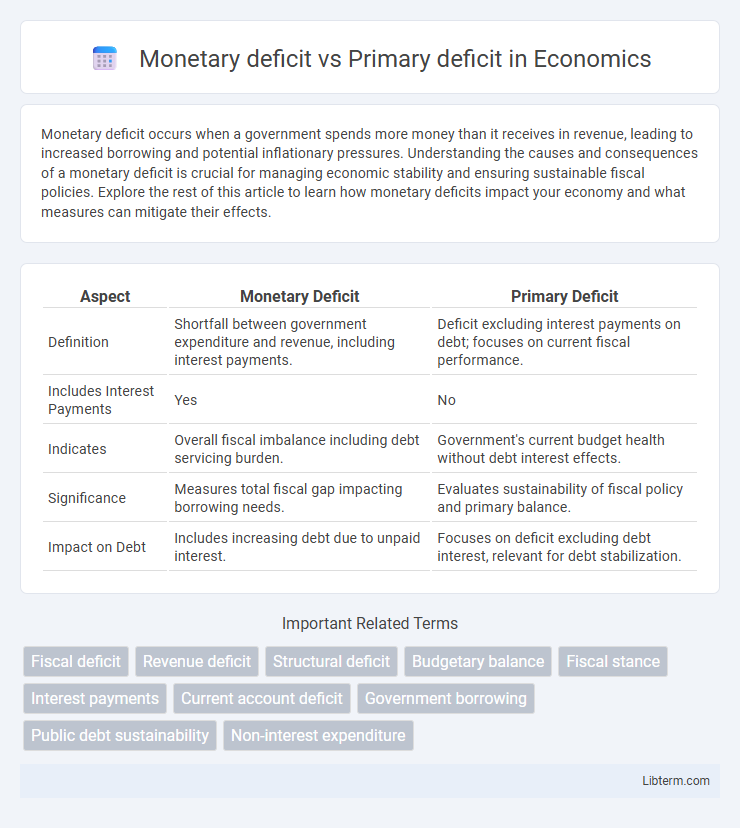 Primary deficit vs Monetary deficit in Economics - What is The Difference?