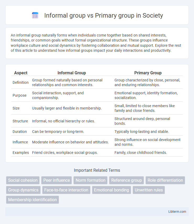 Primary group vs Informal group in Society - What is The Difference?