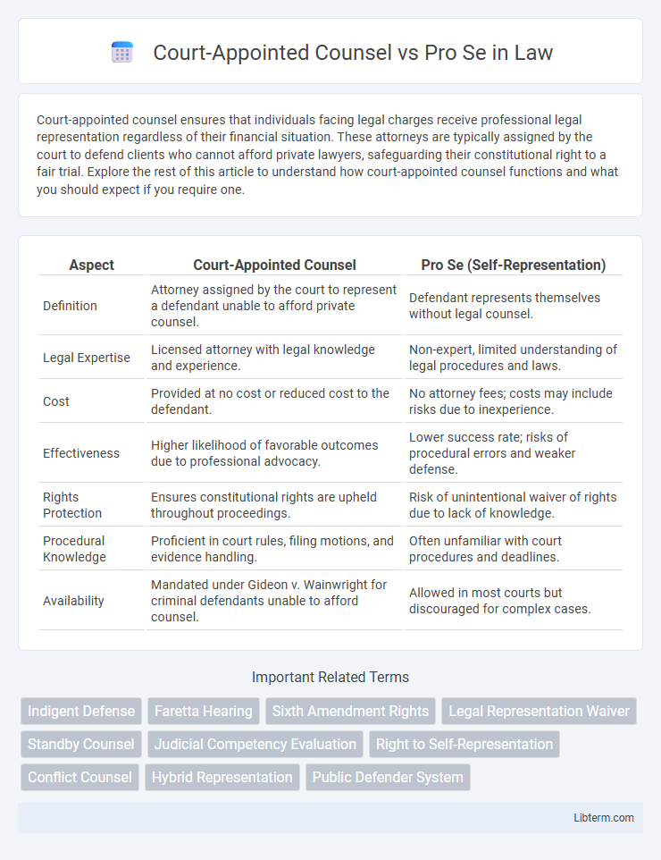 Pro Se vs Court-Appointed Counsel in Law - What is The Difference?