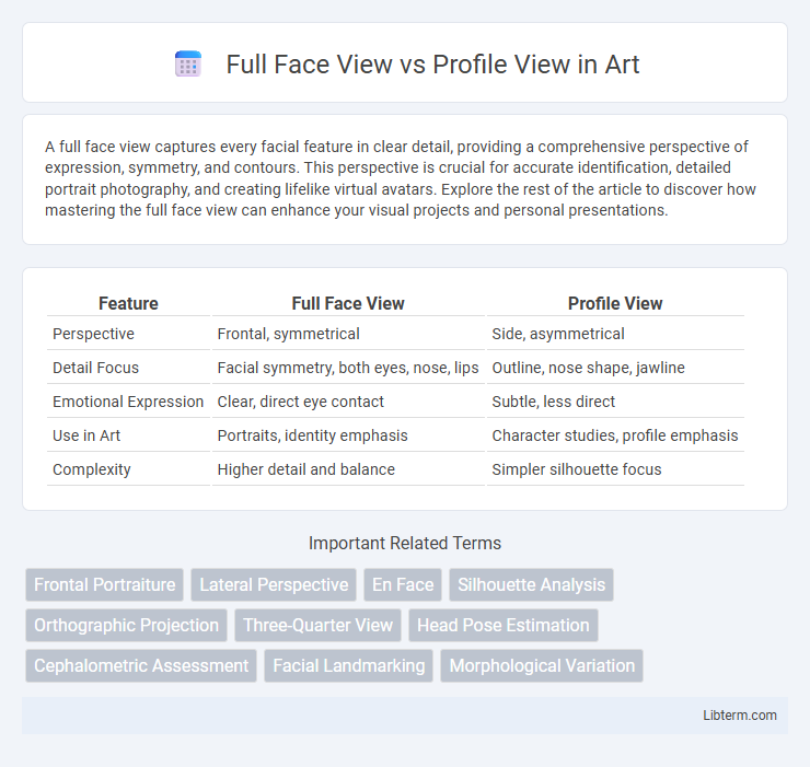 Profile View vs Full Face View in Art - What is The Difference?