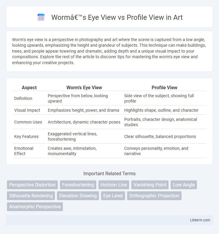Profile View vs Worm’s Eye View in Art - What is The Difference?