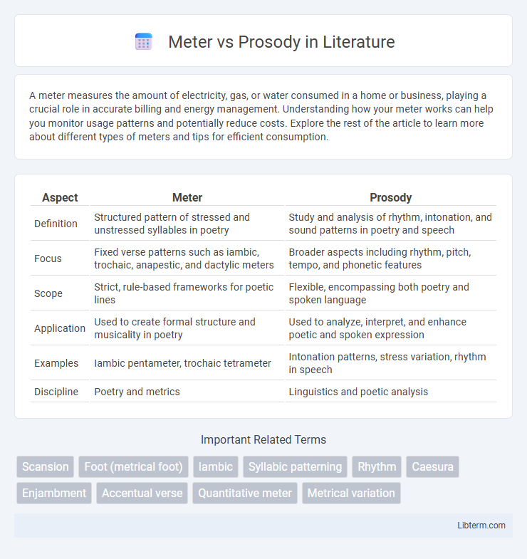 Prosody vs Meter in Literature - What is The Difference?