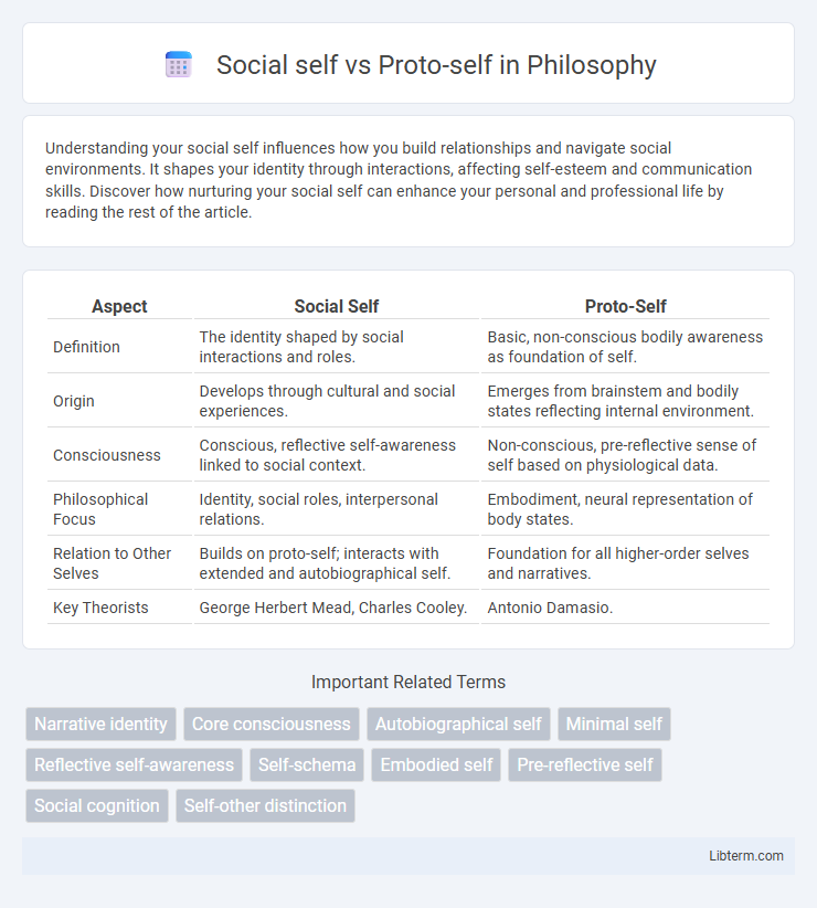 Proto-self vs Social self in Philosophy - What is The Difference?