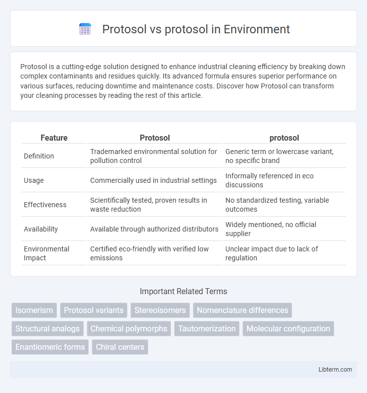 protosol vs Protosol in Environment - What is The Difference?