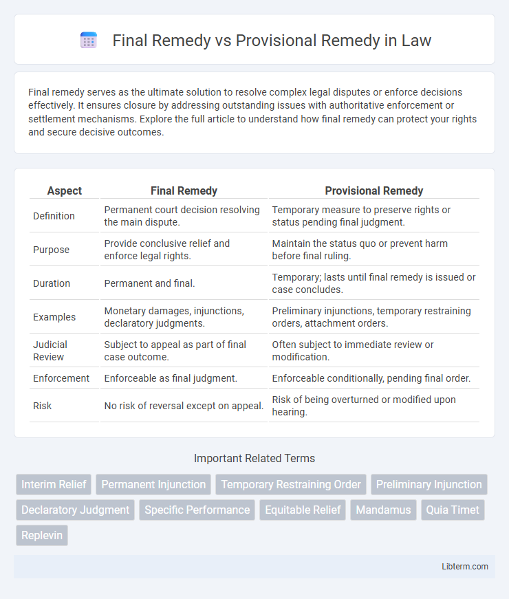 Provisional Remedy vs Final Remedy in Law - What is The Difference?