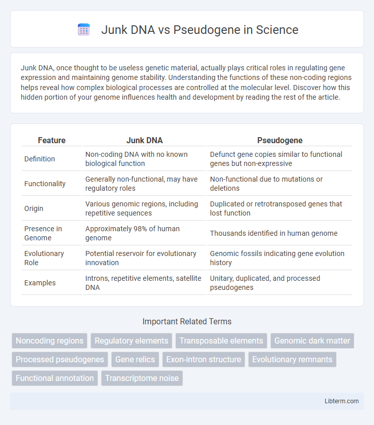 Pseudogene vs Junk DNA in Science - What is The Difference?