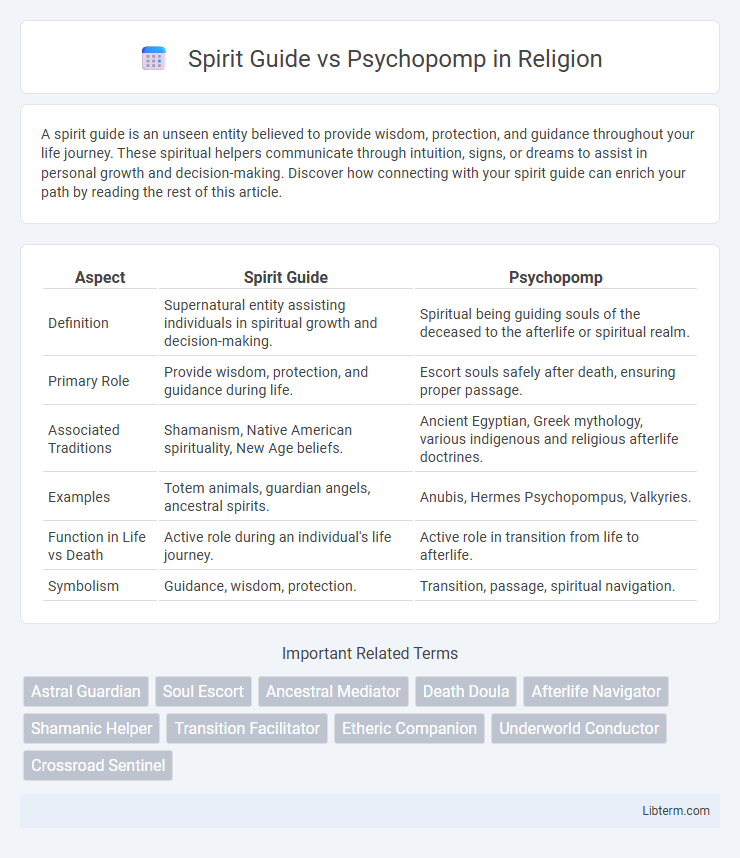 Psychopomp vs Spirit Guide in Religion - What is The Difference?