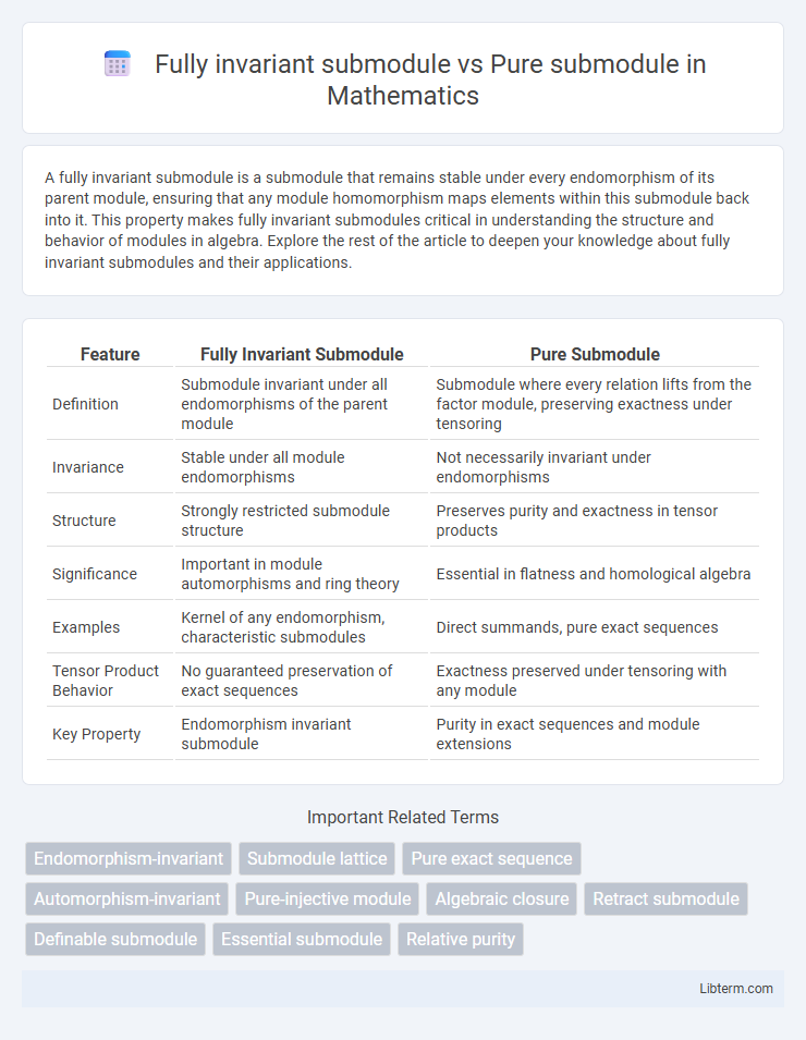 Pure submodule vs Fully invariant submodule in Mathematics - What is The Difference?