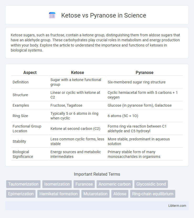 Pyranose vs Ketose in Science - What is The Difference?