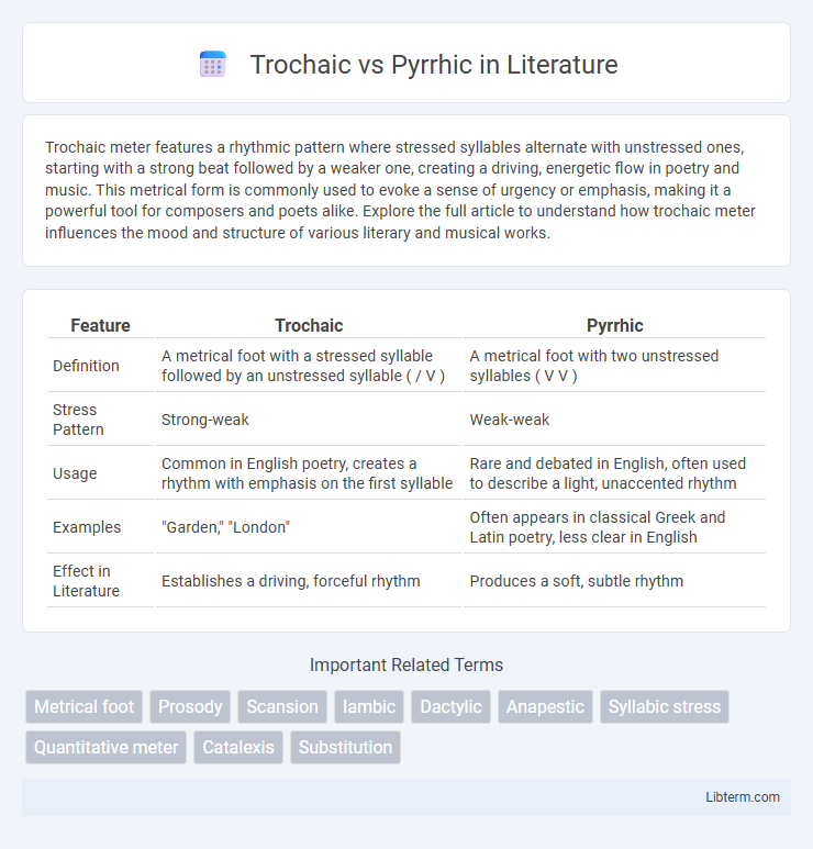 Pyrrhic vs Trochaic in Literature - What is The Difference?