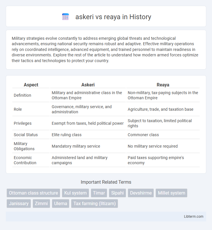 reaya vs askeri in History - What is The Difference?