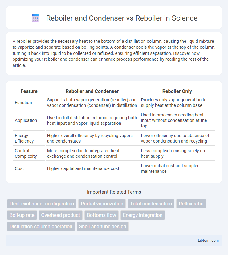 Reboiler vs Reboiler and Condenser in Science - What is The Difference?