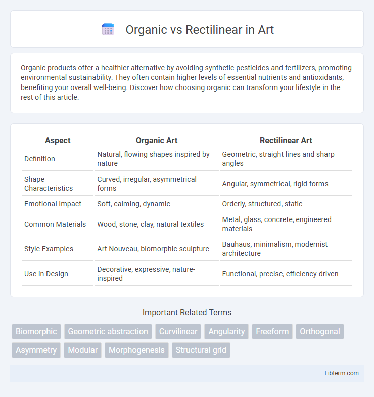 Rectilinear vs Organic in Art - What is The Difference?