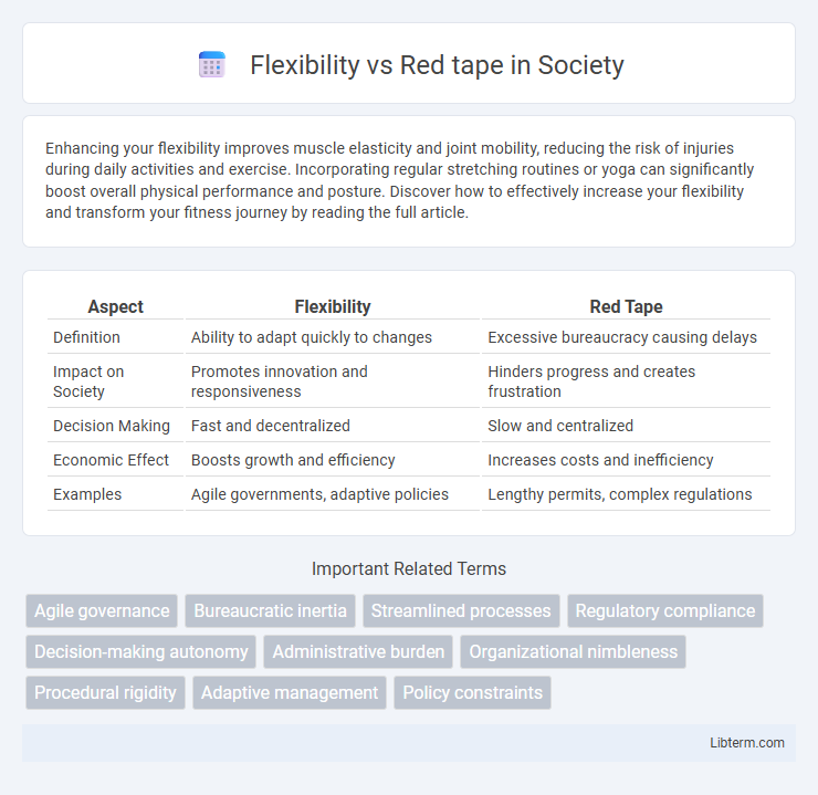 Red tape vs Flexibility in Society - What is The Difference?