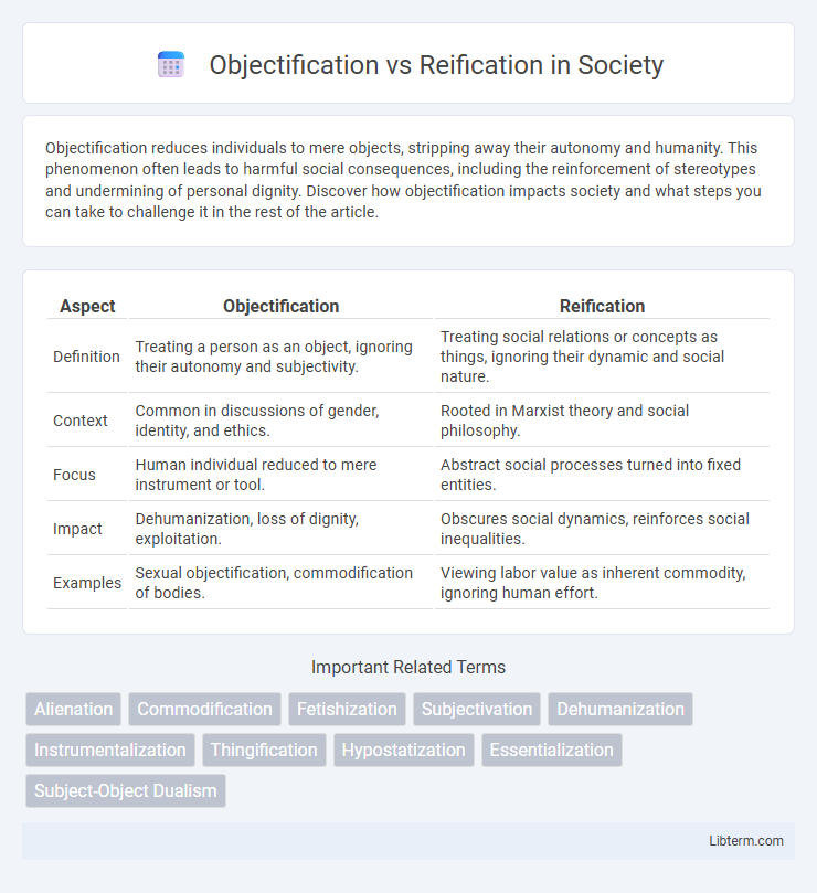 Reification vs Objectification in Society - What is The Difference?