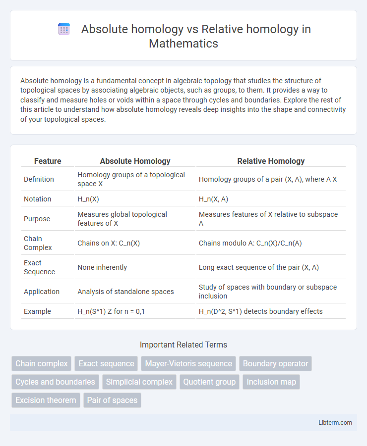 Relative homology vs Absolute homology in Mathematics - What is The Difference?