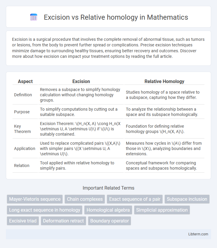 Relative homology vs Excision in Mathematics - What is The Difference?