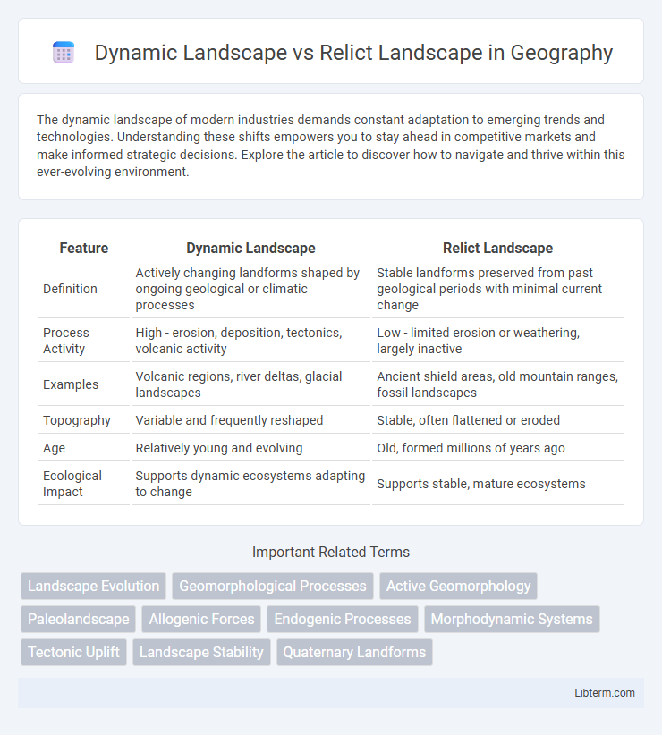 Relict Landscape vs Dynamic Landscape in Geography - What is The Difference?
