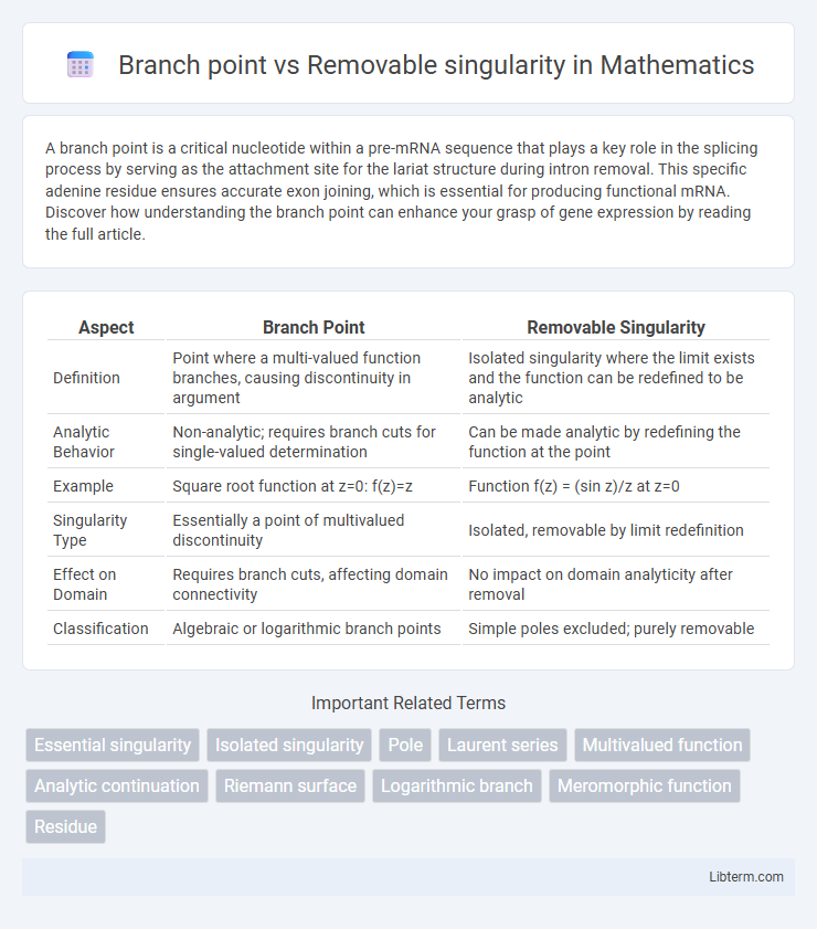 Removable singularity vs Branch point in Mathematics - What is The Difference?