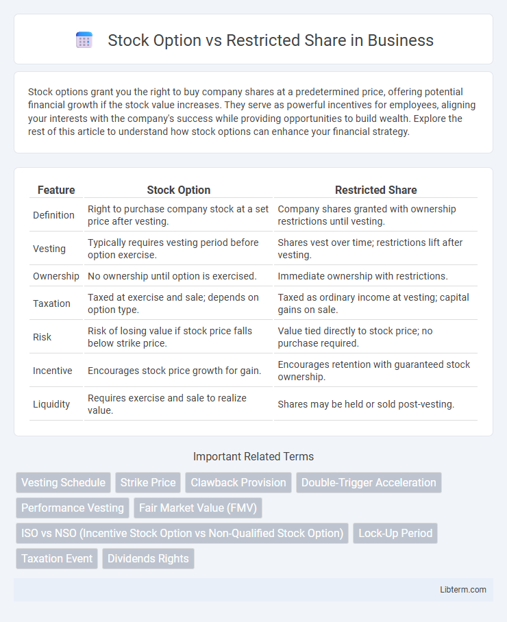 Restricted Share vs Stock Option in Business - What is The Difference?