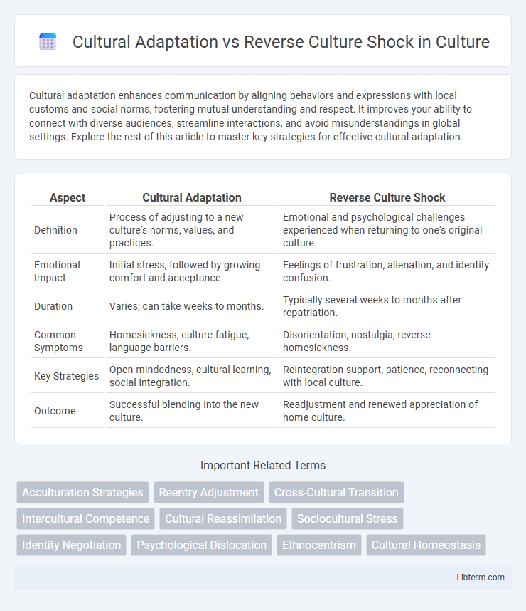 Reverse Culture Shock vs Cultural Adaptation in Culture - What is The Difference?