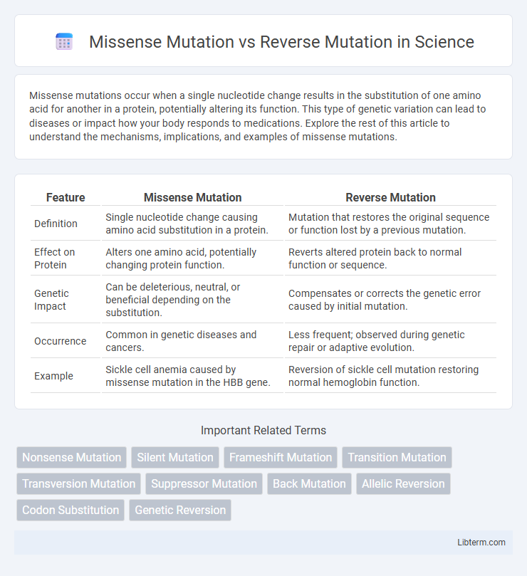 Reverse Mutation vs Missense Mutation in Science - What is The Difference?