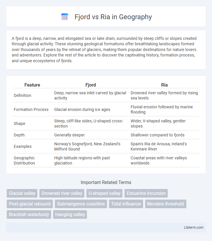 Ria vs Fjord in Geography - What is The Difference?