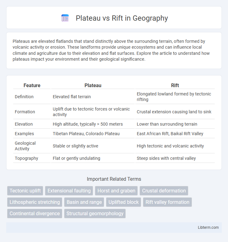 Rift vs Plateau in Geography - What is The Difference?