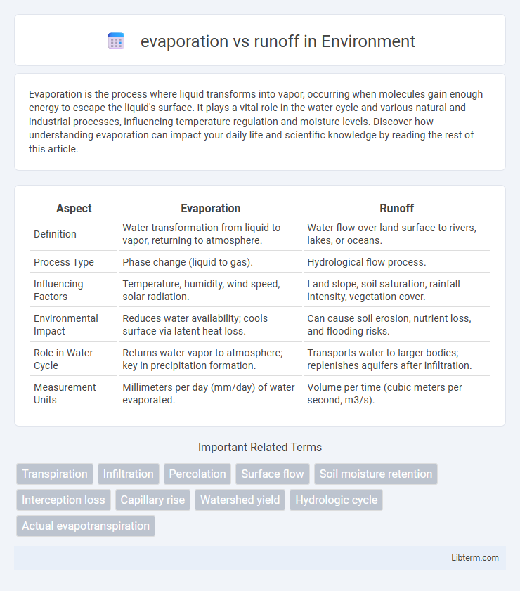 runoff vs evaporation in Environment - What is The Difference?