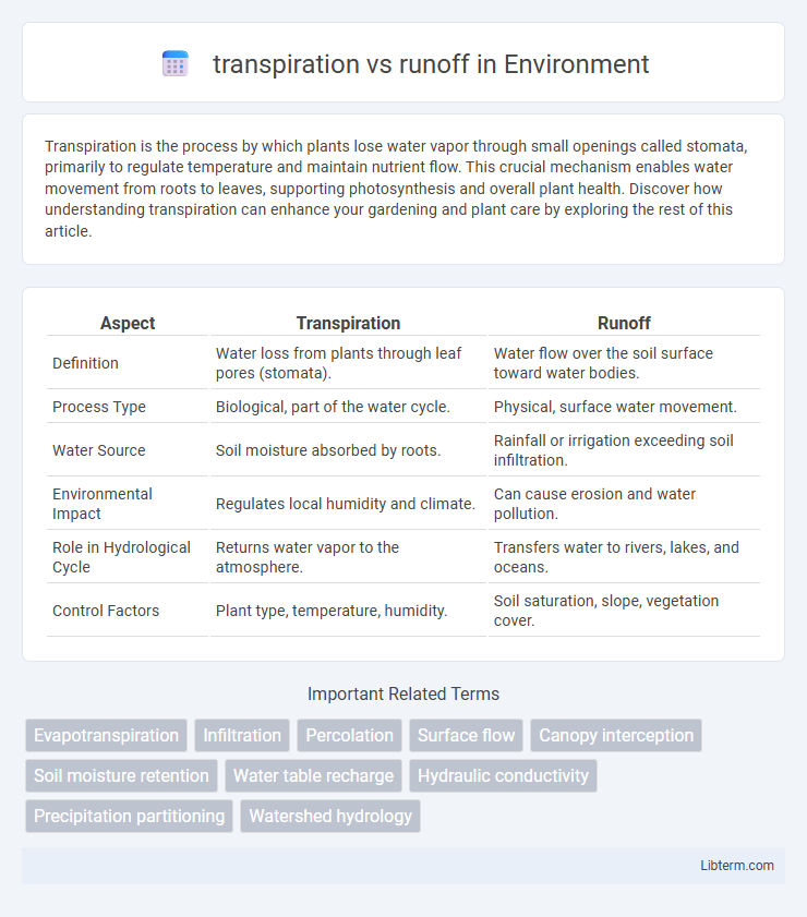 runoff vs transpiration in Environment - What is The Difference?