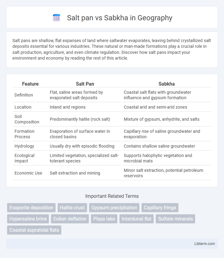 Sabkha vs Salt pan in Geography - What is The Difference?