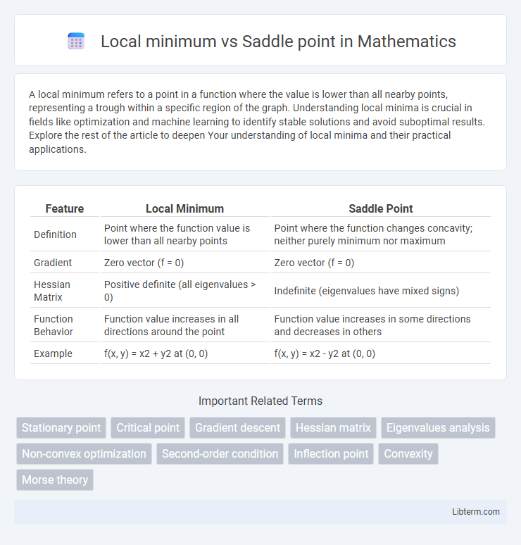 Saddle point vs Local minimum in Mathematics - What is The Difference?