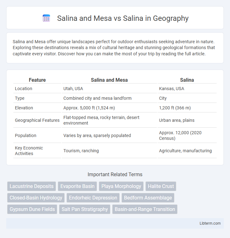 Salina vs Salina and Mesa in Geography - What is The Difference?