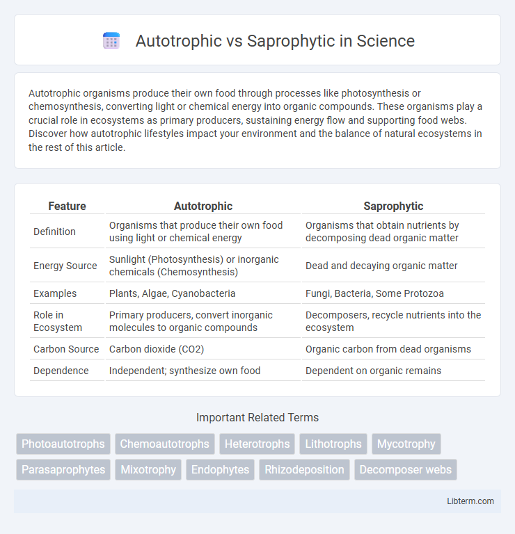 Saprophytic vs Autotrophic in Science - What is The Difference?