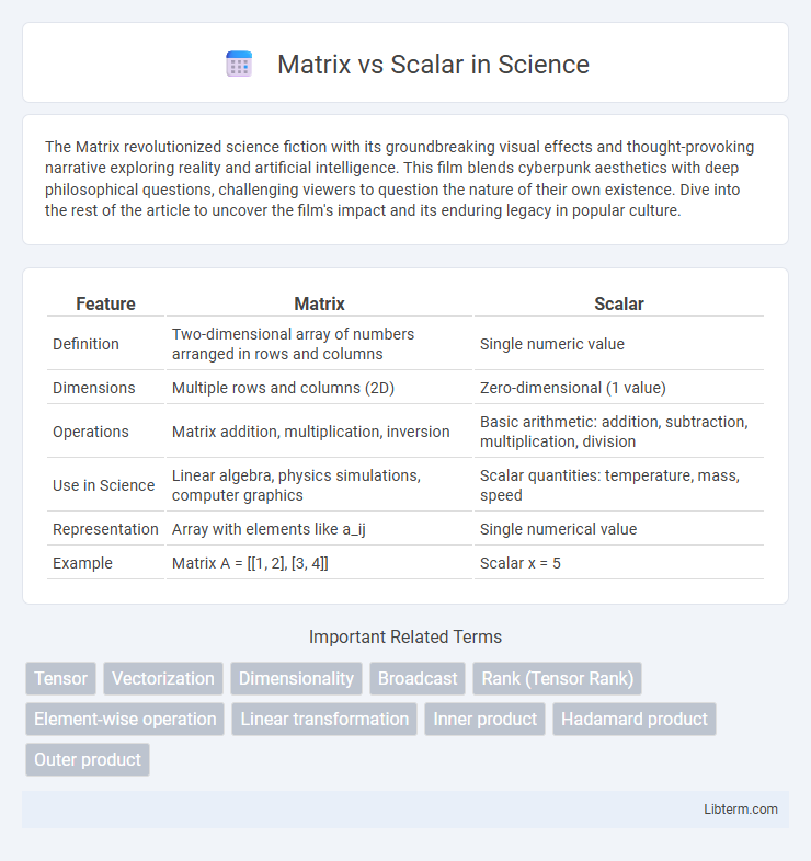 Scalar vs Matrix in Science - What is The Difference?