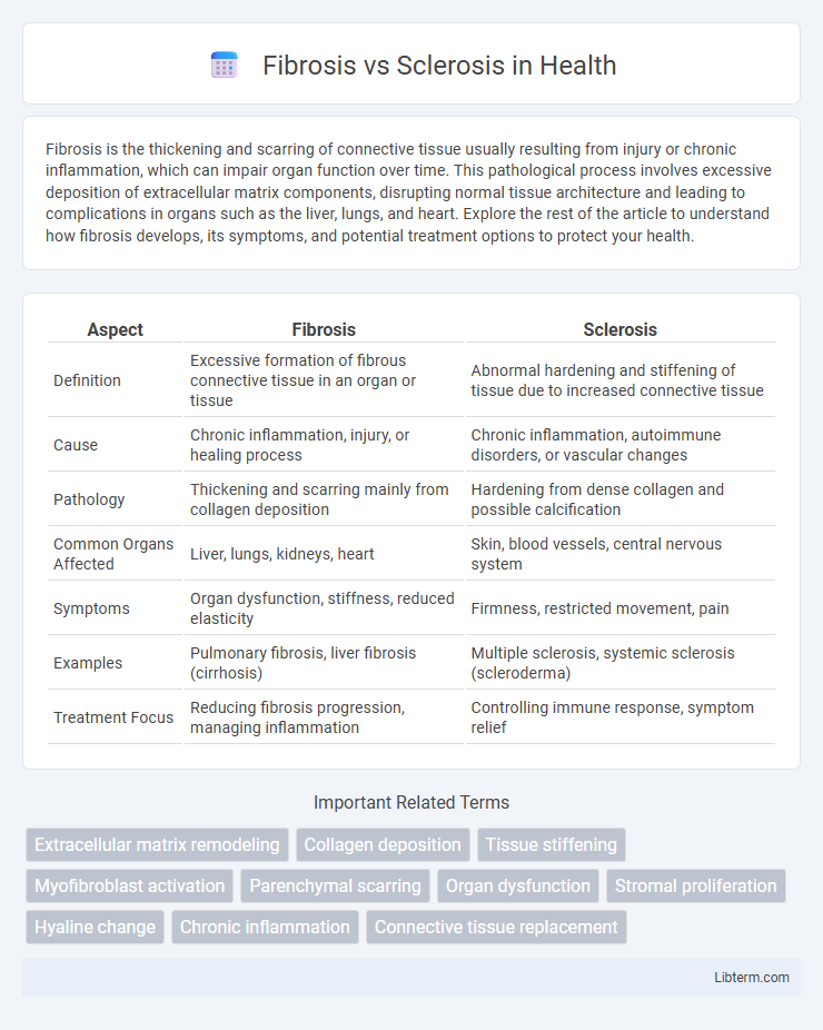 Sclerosis vs Fibrosis in Health - What is The Difference?