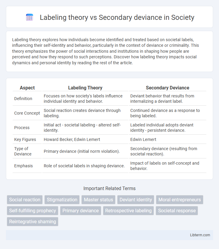 Secondary deviance vs Labeling theory in Society - What is The Difference?