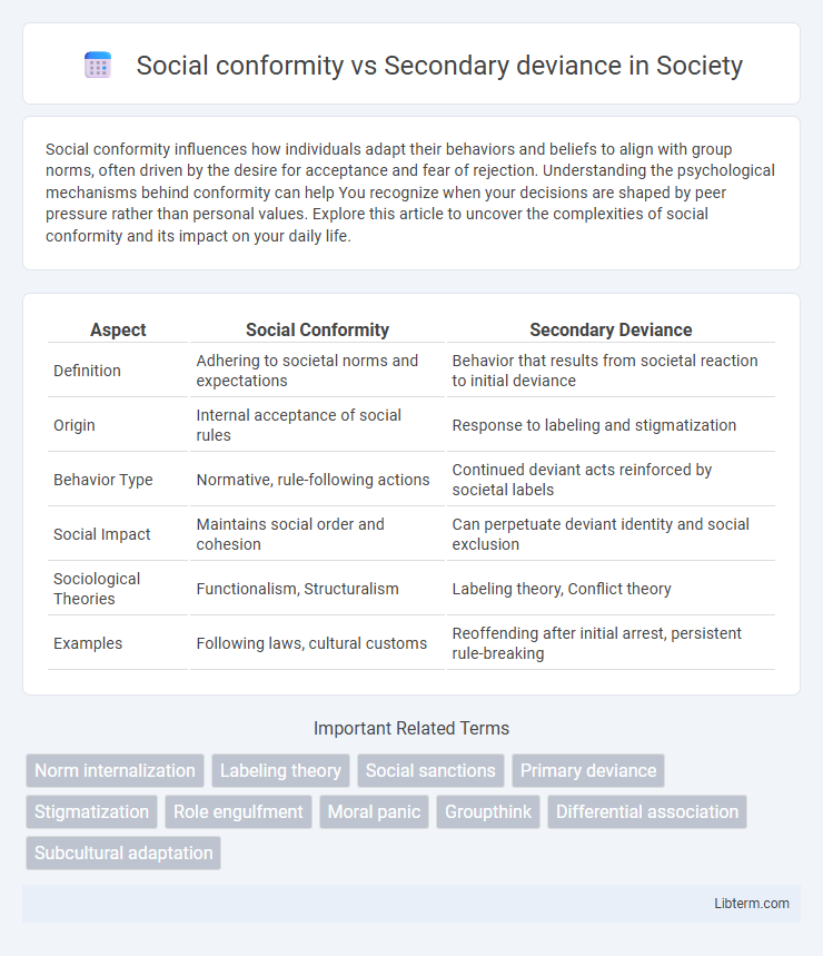 Secondary deviance vs Social conformity in Society - What is The Difference?