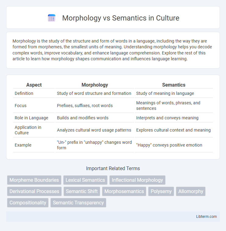 Semantics vs Morphology in Culture - What is The Difference?
