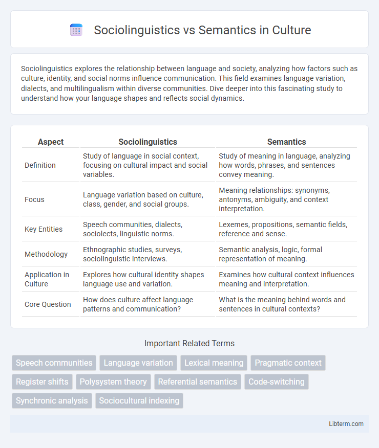 Semantics vs Sociolinguistics in Culture - What is The Difference?
