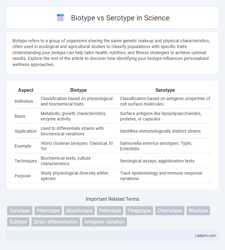 Serotype vs Biotype in Science - What is The Difference?