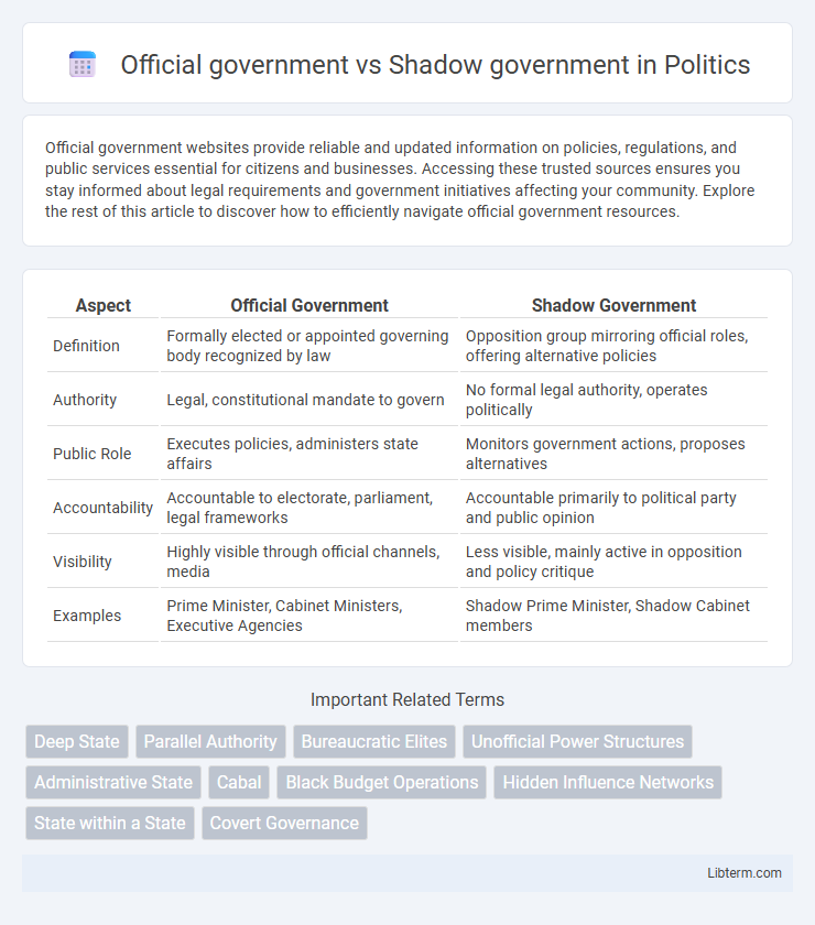 Shadow government vs Official government in Politics - What is The Difference?