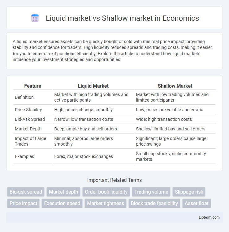 Shallow market vs Liquid market in Economics - What is The Difference?