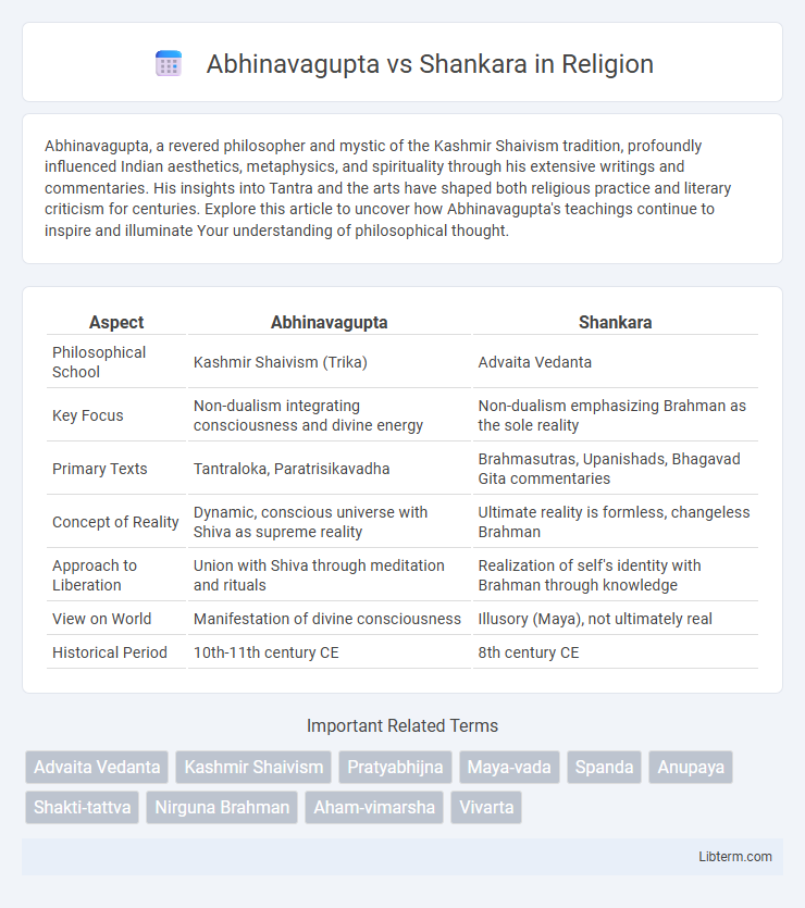 Shankara vs Abhinavagupta in Religion - What is The Difference?