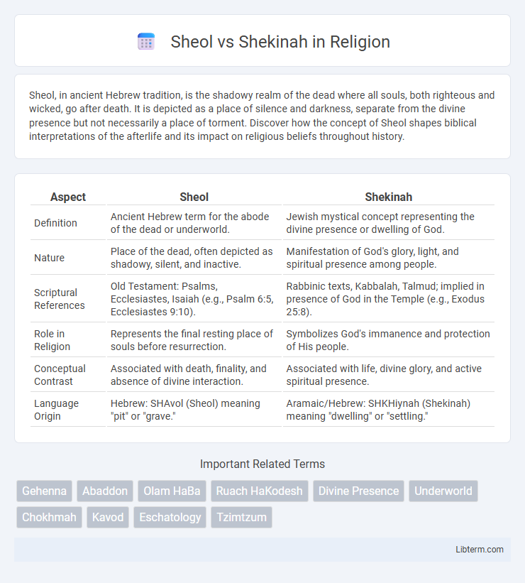 Shekinah vs Sheol in Religion - What is The Difference?