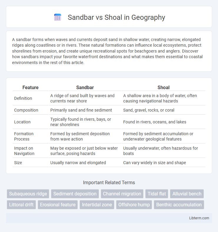 Shoal vs Sandbar in Geography - What is The Difference?
