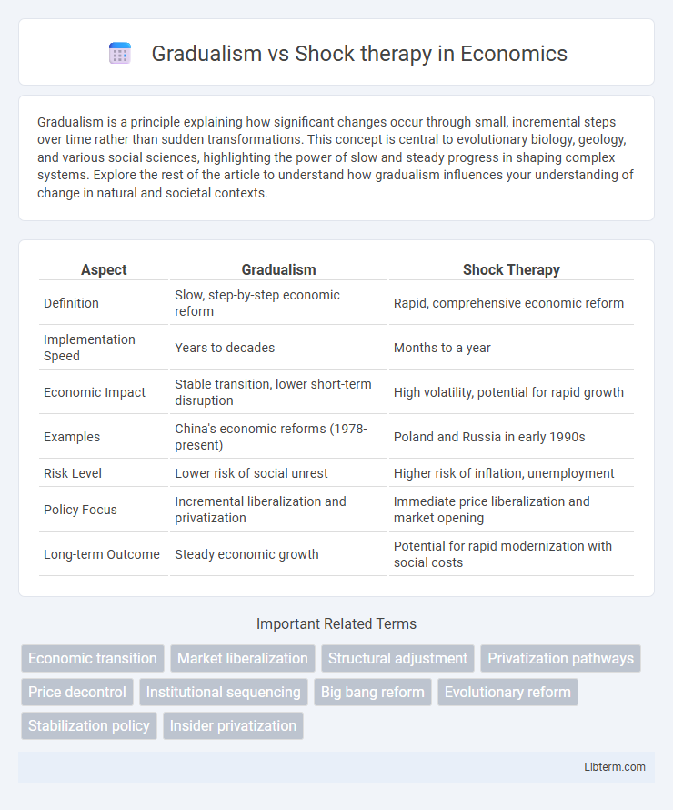 Shock therapy vs Gradualism in Economics - What is The Difference?