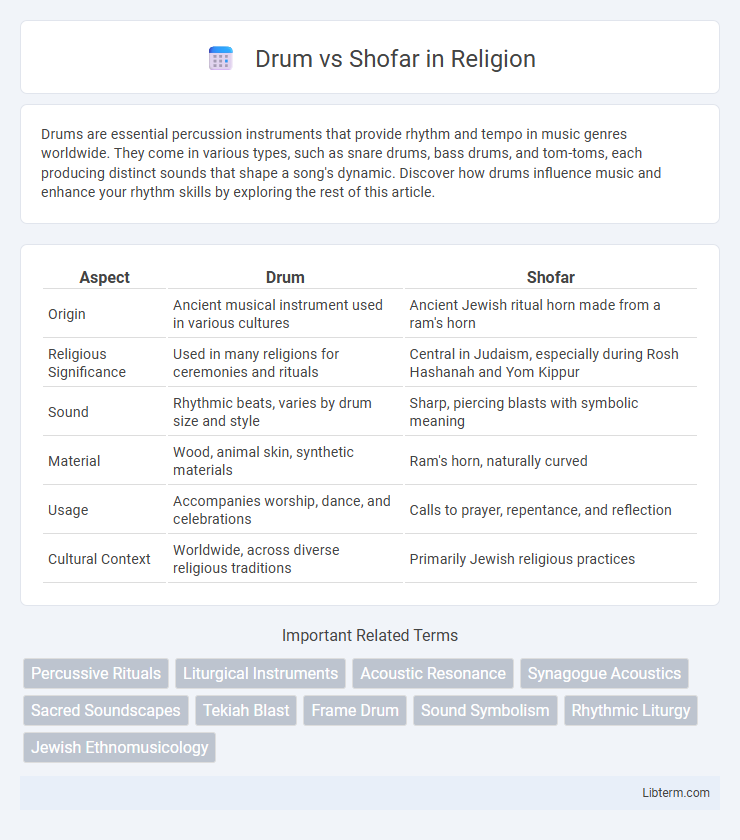 Shofar vs Drum in Religion - What is The Difference?